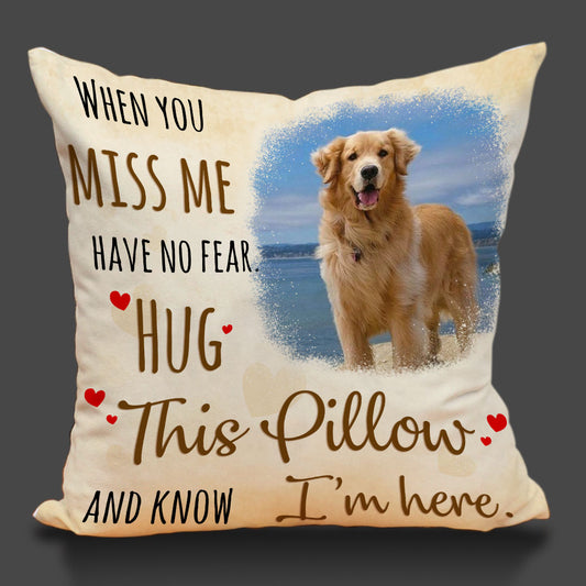 Hug This Pillow Personalized Memorial Gift For Pet Lover