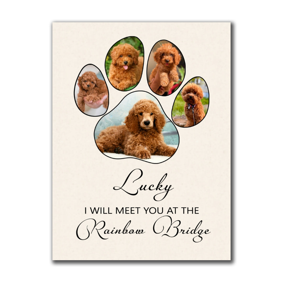 Meet At The Rainbow Bridge Canvas Personalized Memorial Gift For Pet Lover