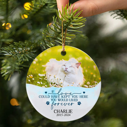Live Forever Ornament Personalized Memorial Gifts Dog Cat Pet Lovers