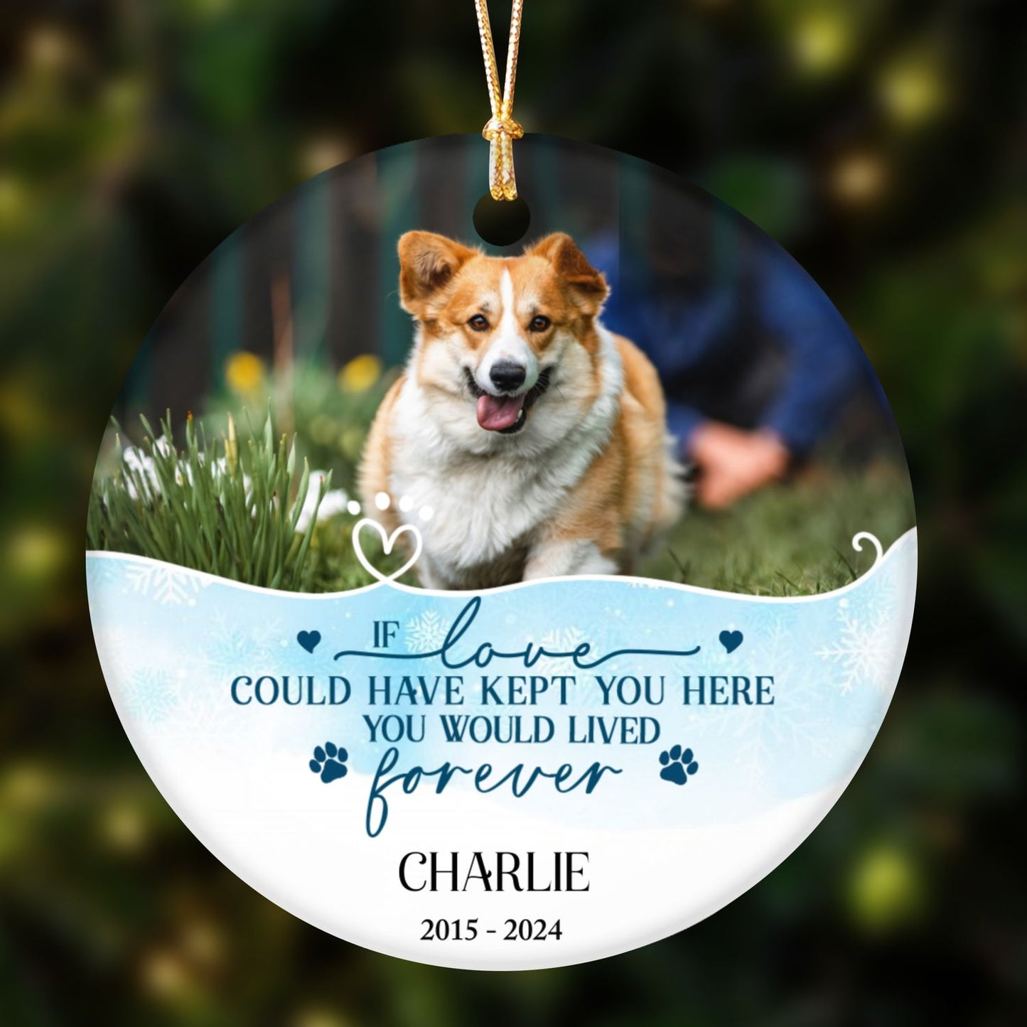 Live Forever Perfect Ornament Personalized Memorial Gifts Dog Cat Lovers